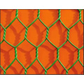 Hex hexagonale en PVC. Wire Mesh (HDH11)